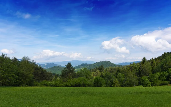 Pieniny in der Slowakei und Polen — Stockfoto