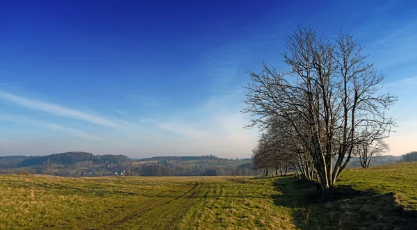 Park narodowy Ceskosaske terenie wiosną — Zdjęcie stockowe