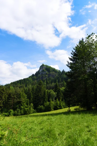 Pieniny Montanhas na Eslováquia e Polônia — Fotografia de Stock