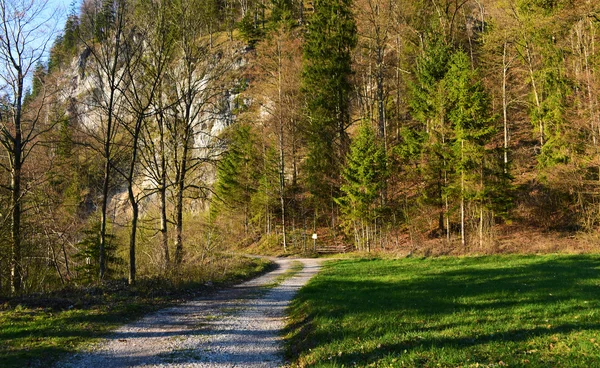 Soirée ensoleillée près de la ville Grunau im Almtal — Photo