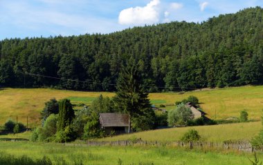 Kokorinsko alanında iyi günler