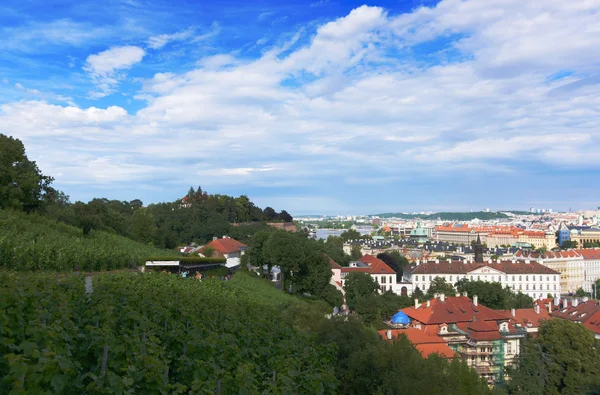 Praha od zahrady u Pražského hradu — Stock fotografie
