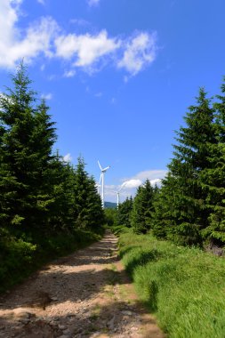 Güzel yaz günü dağda Jeseniky