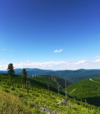 Güzel yaz günü dağda Jeseniky
