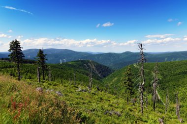 Güzel yaz günü dağda Jeseniky