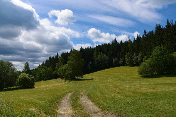 Jeseníky v pěkné letní den — Stock fotografie