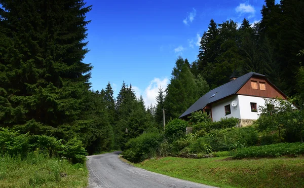 Jeseniky gebergte in mooie zomerdag — Stockfoto