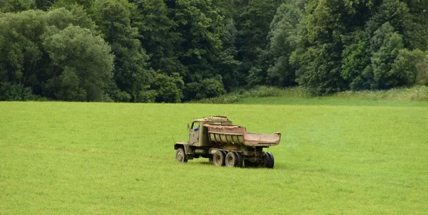 Vecchio camion su prato verde — Foto Stock