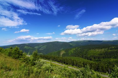Güzel yaz günü dağda Jeseniky