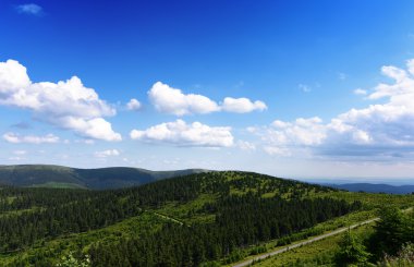 Güzel yaz günü dağda Jeseniky