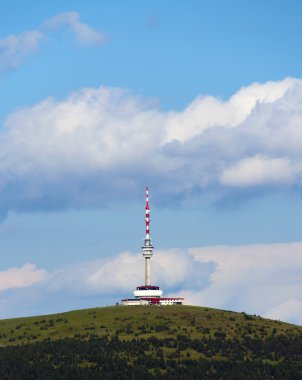 Güzel yaz günü dağda Jeseniky