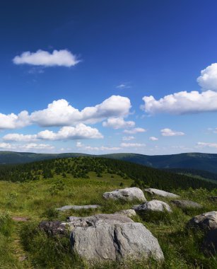 Güzel yaz günü dağda Jeseniky