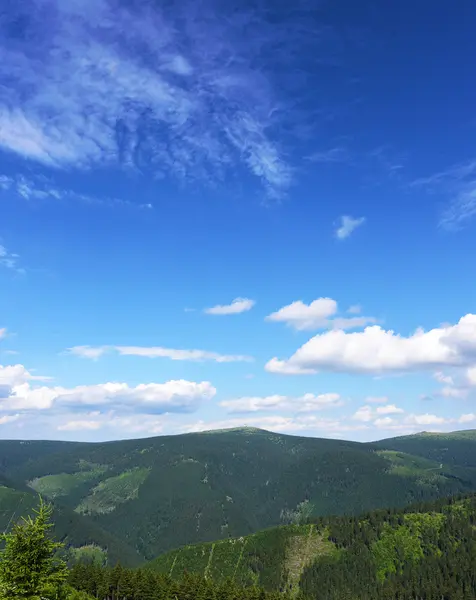 Montanhas Jeseniky no belo dia de verão — Fotografia de Stock