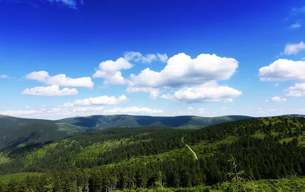 Montanhas Jeseniky no belo dia de verão — Fotografia de Stock