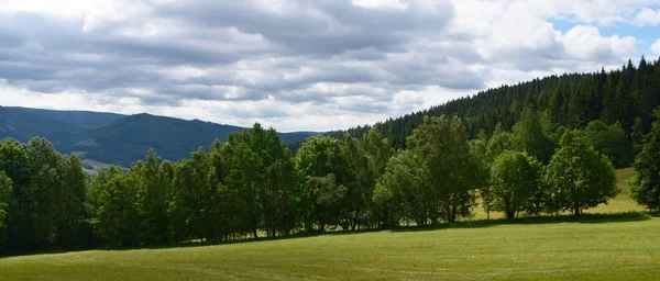 Jeseniky Berge in schönen Sommertag — Stockfoto