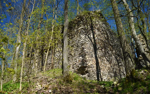 Belle journée près de Kdyne ville — Photo