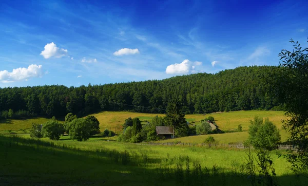 Zöld napos területen Kirillovics Kokorin — Stock Fotó