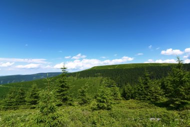 Güneşli bir gün dağda Jesenik