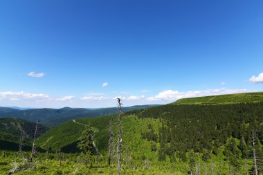 Güneşli bir gün dağda Jesenik