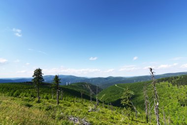 Güneşli bir gün dağda Jesenik