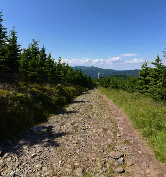 Güneşli bir gün dağda Jesenik