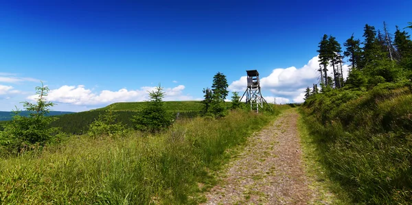 Jesenik berge bei sonnigem tag — Stockfoto