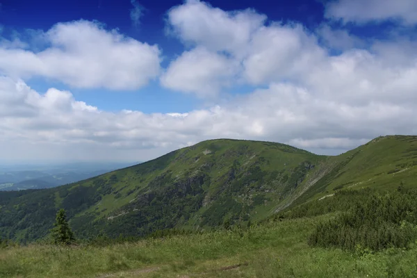 Día soleado de verano en las montañas Krkonose —  Fotos de Stock