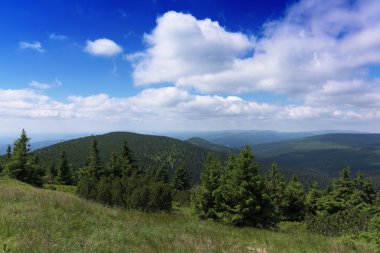 Güneşli yaz günü Krkonose dağlarında