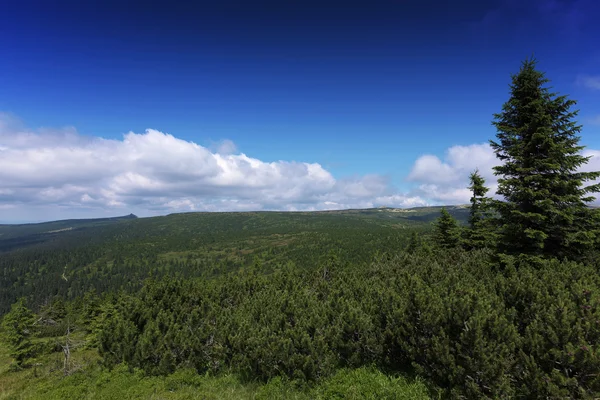 Journée d'été ensoleillée dans les montagnes de Krkonose — Photo