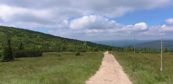 Zonnige zomerdag in Krkonose bergen — Stockfoto