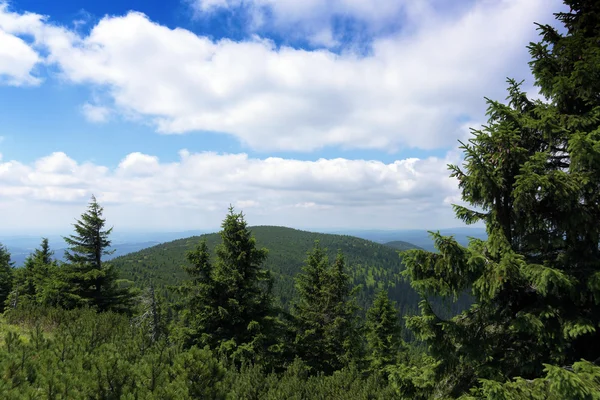 阳光明媚的夏日，在 Krkonose 山 — 图库照片