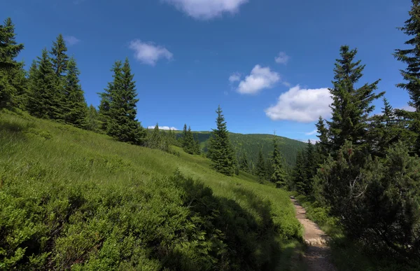 Sonniger Sommertag im Riesengebirge — Stockfoto