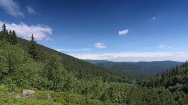 Güneşli yaz günü Krkonose dağlarında