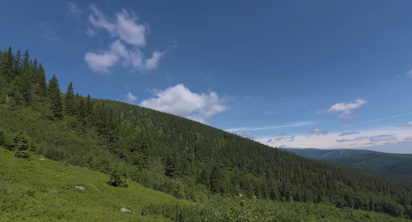 Sonniger Sommertag im Riesengebirge — Stockfoto