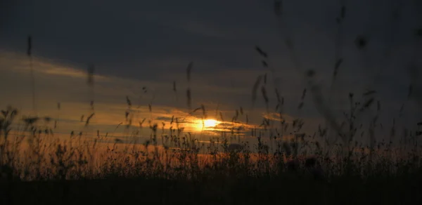 Răsărit de soare cu pajişte şi soare cu nori — Fotografie, imagine de stoc