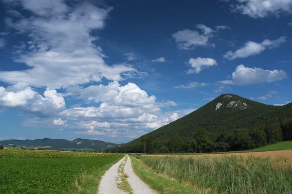 Wiener Neustadt yakın alanda Alpler
