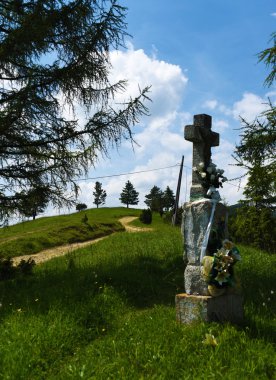 Güneşli bir günde Pieniny dağlar
