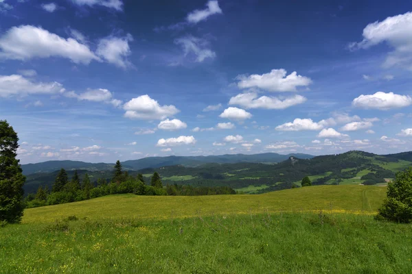 Sonniger Tag in den Pieniny Mountains — Stockfoto