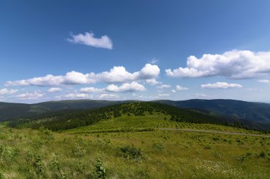 Güzel yaz günü dağda Jeseniky