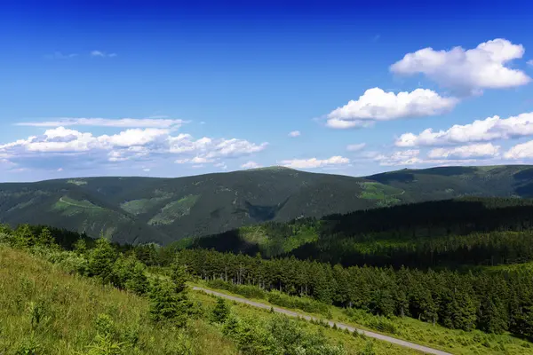 Jeseniky гір у приємний літній день — стокове фото