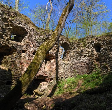 Binalar ve Kdyne alan harabelerde