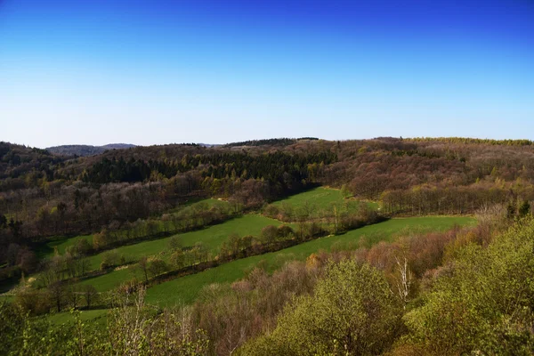 ทุ่งหญ้าและป่าใน Ceske ภูเขา Stredohori — ภาพถ่ายสต็อก