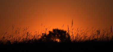 Usti nad Labem şehir üzerinde gündoğumu