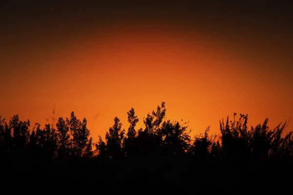 Sonnenaufgang über der Stadt Usti nad Labem — Stockfoto