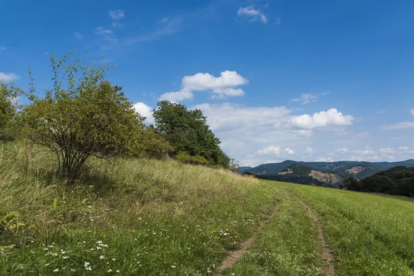 Чеське Stredohori гори, недалеко від Radejcin — стокове фото