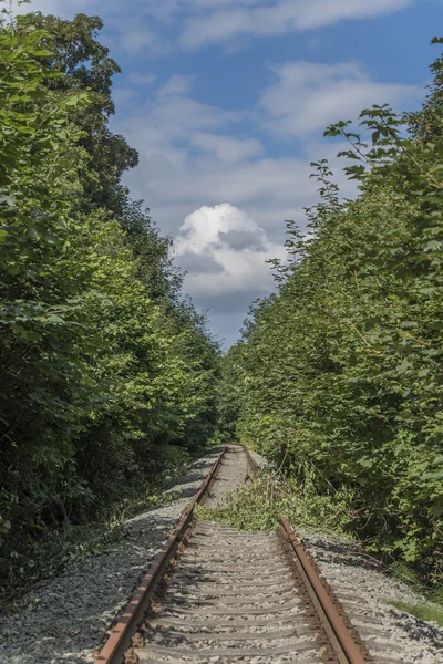 Radejcin 村附近的铁轨 — 图库照片