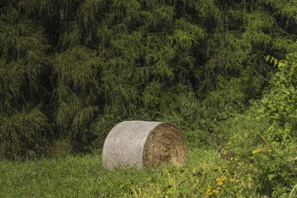 Szalmabála zöld rét — Stock Fotó