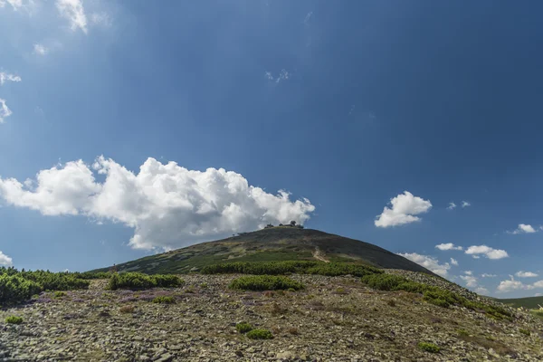 Montagne Krkonose in estate giornata di sole — Foto Stock