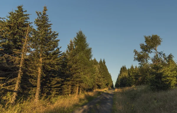 Paisagem perto da aldeia de Kovarska em Krusne hory montanhas — Fotografia de Stock