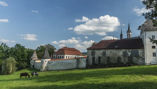 Монастир міста Vyssi Брод, у — стокове фото